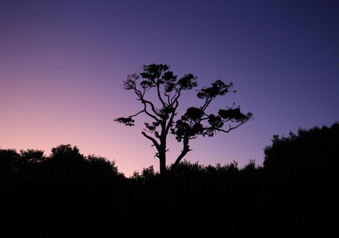Hananui Purepod Holiday home