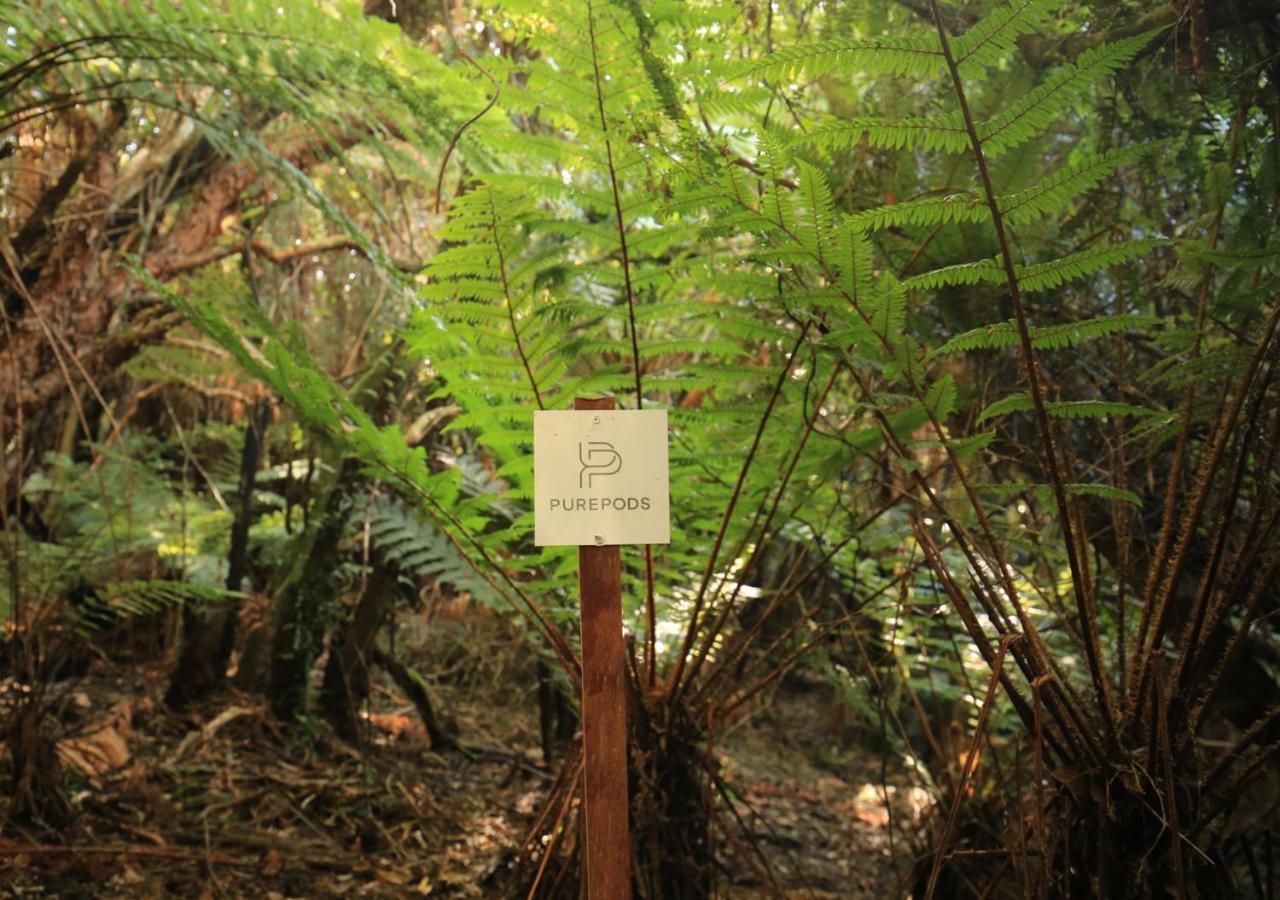 Holiday home Hananui Purepod